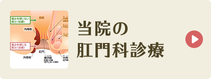 当院の肛門科診療